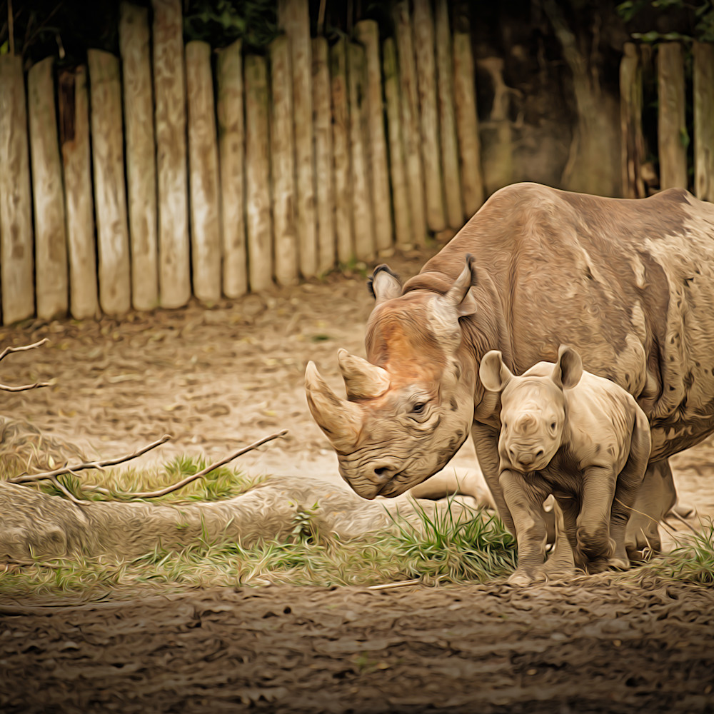 Rhino baby   painted xatplt