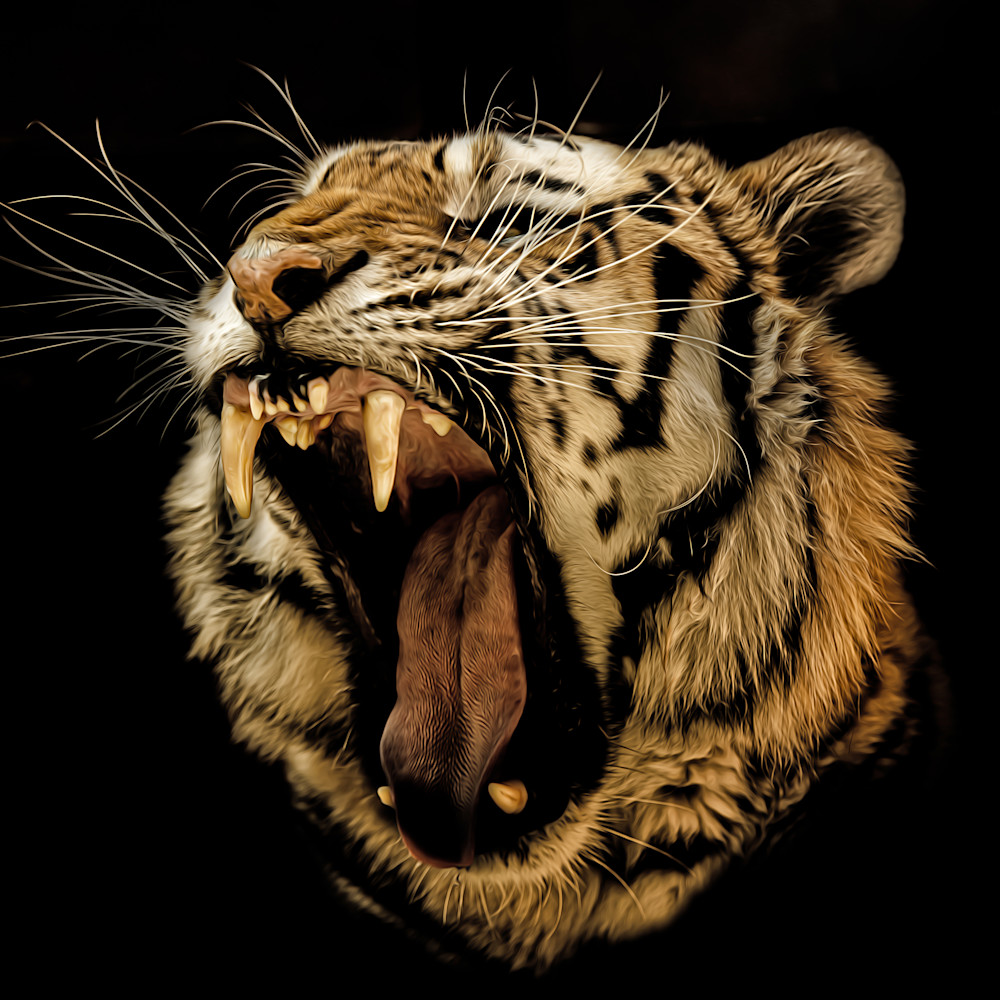 Roaring tiger   painted pexiop