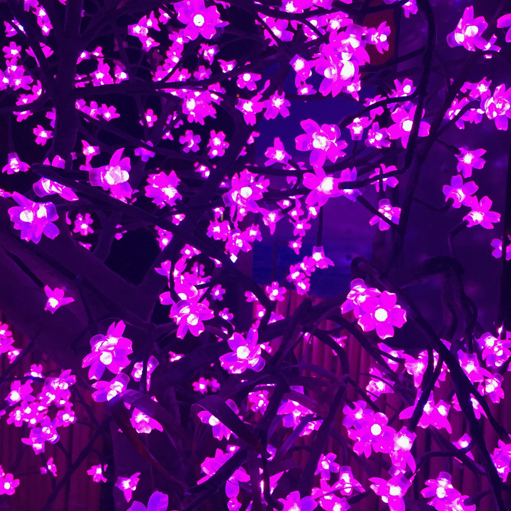Purplesque flowers s1flkf