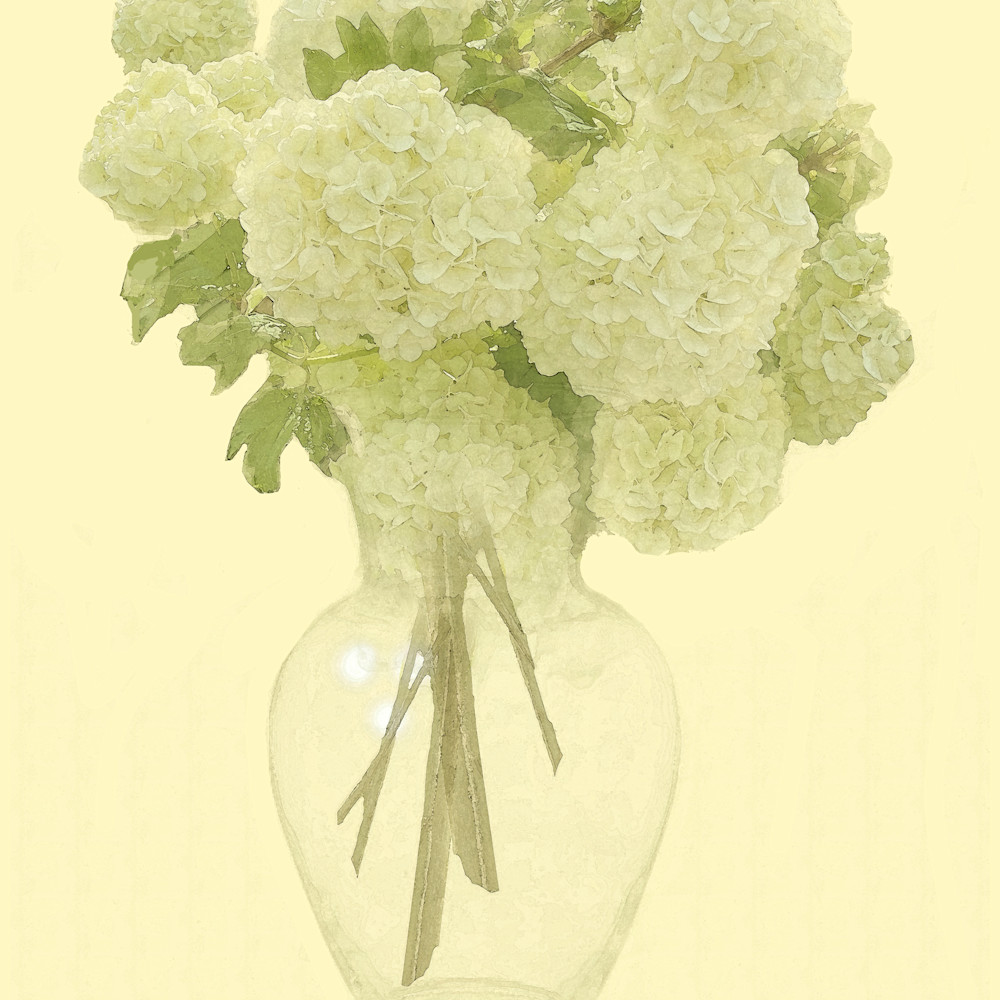 Snowballs with vase 150 cropped for pixels fpnotm