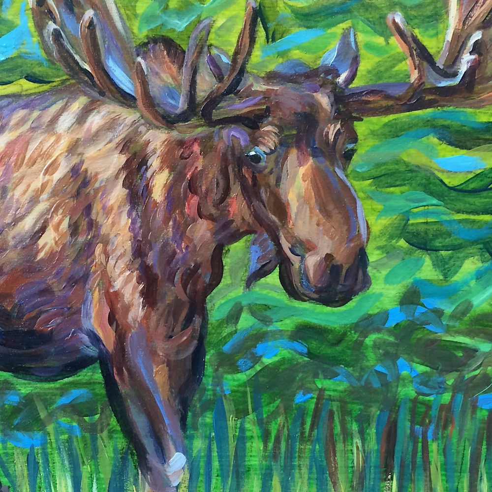 Bull moose along green path afxuvp