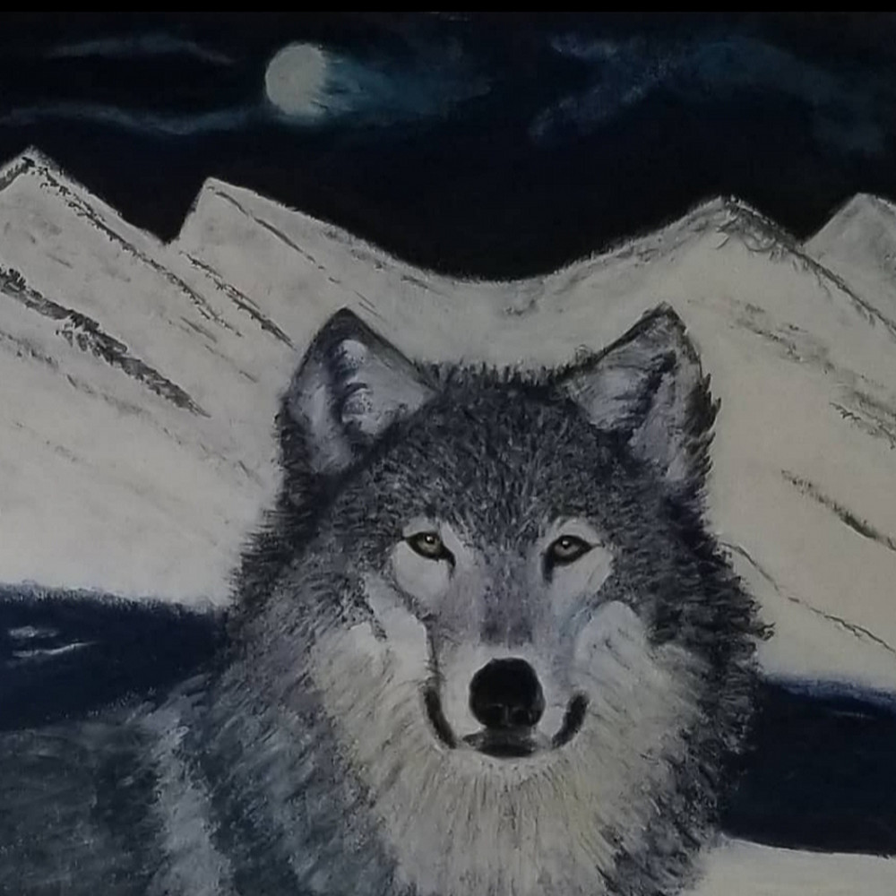 Night wolf qbqroz