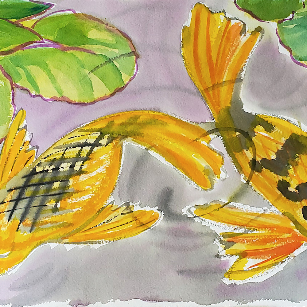 22koi pond friends 22 wzgnng