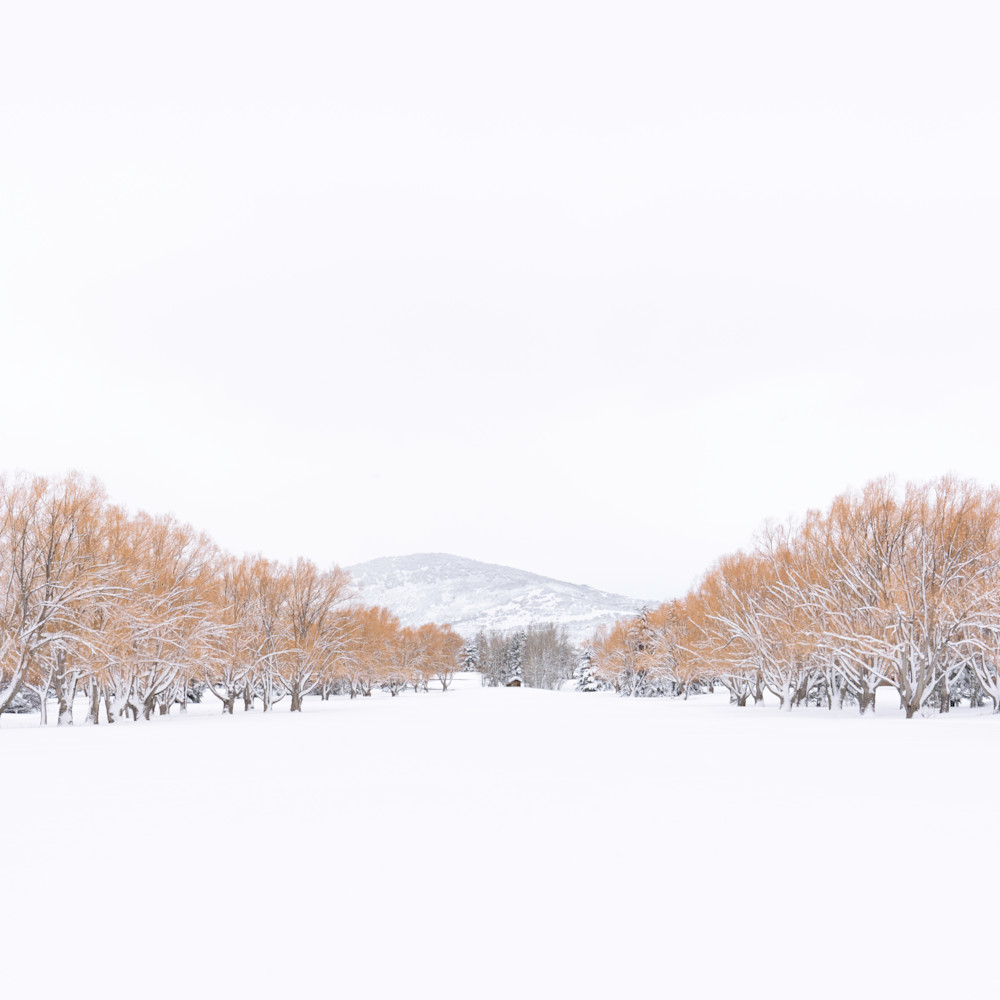 Stillness swcrrs