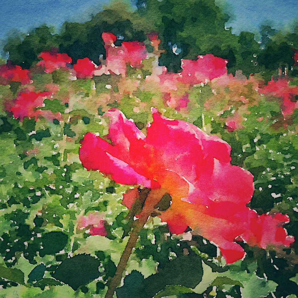 12x12 sunshine and roses watercolor luae2z
