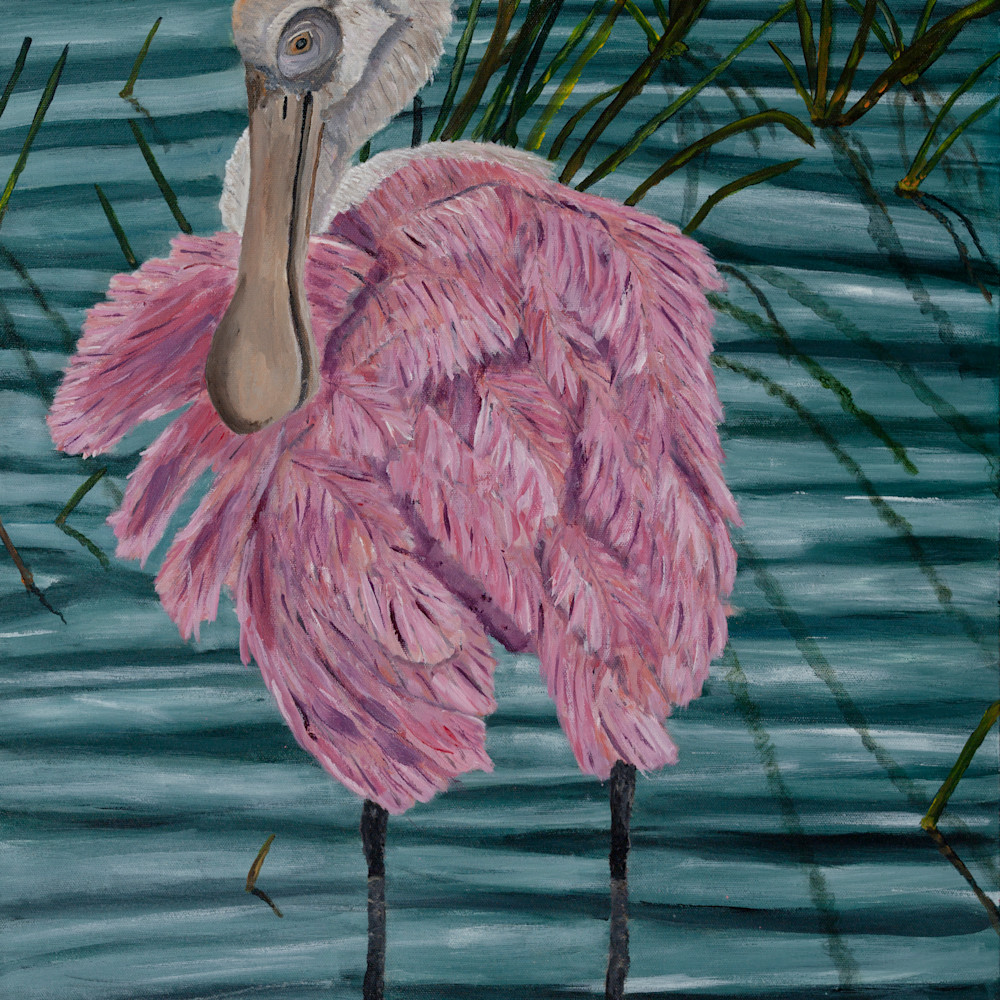Ron stansel roseate spoonbill 24x20 htq0ad