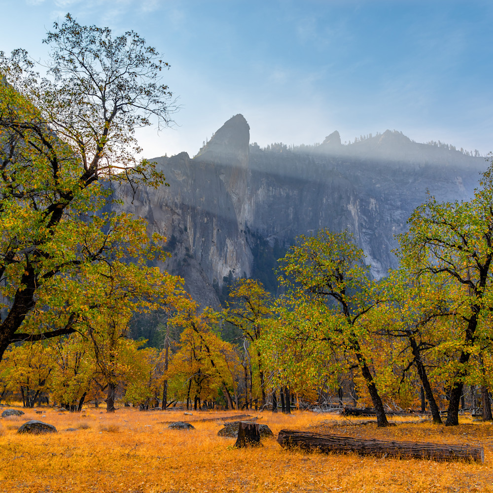 Yosemite valley oaks gl157g