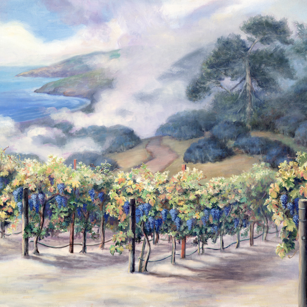 Monterey vineyard lfronx
