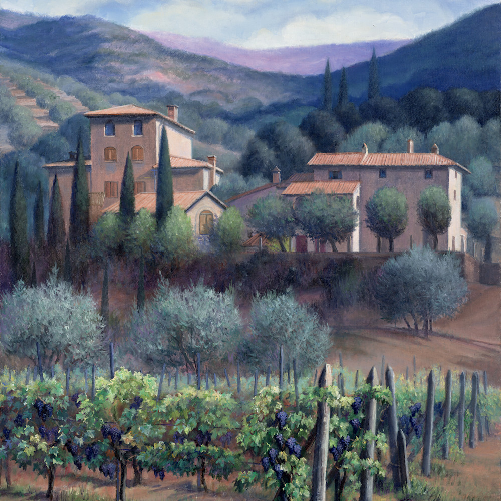 Tuscan vineyard fcouji