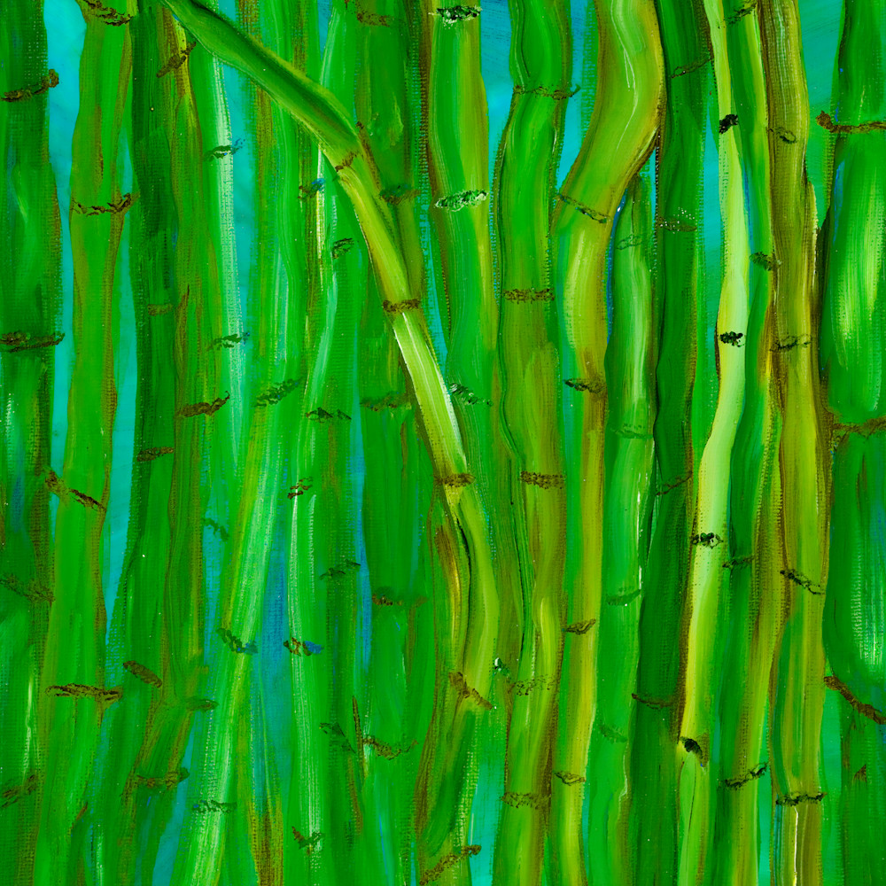 Bamboo original jpeg 22x28 sqm1fc