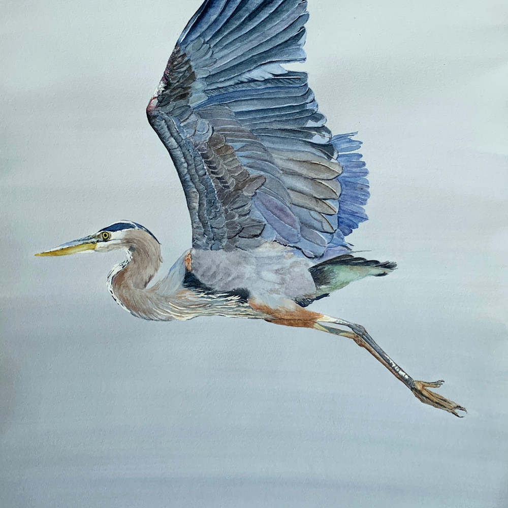 Blue heron painting wsawiw