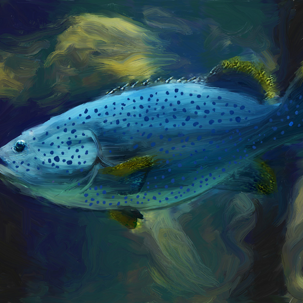 Fish in blue orzlml