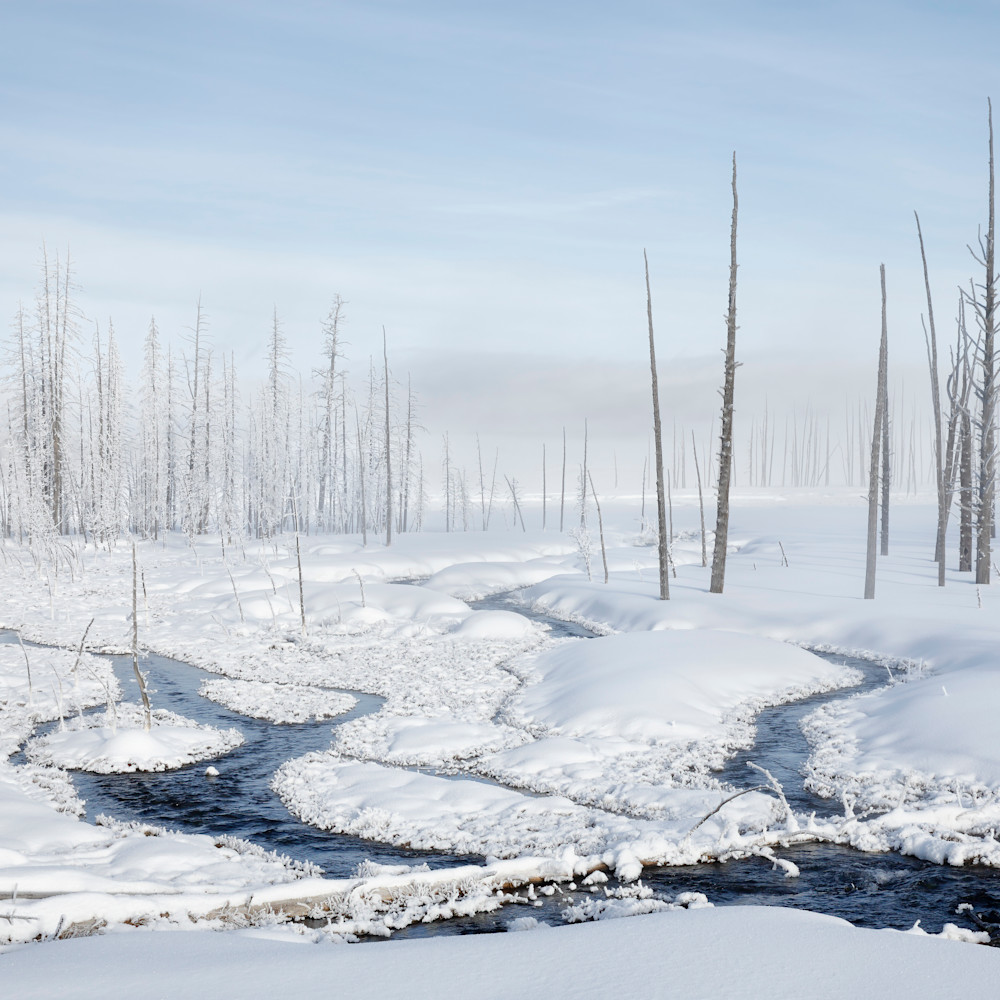 Streams flowing into snow field s6a6544 yellowstone national park wy usa mwqkgi