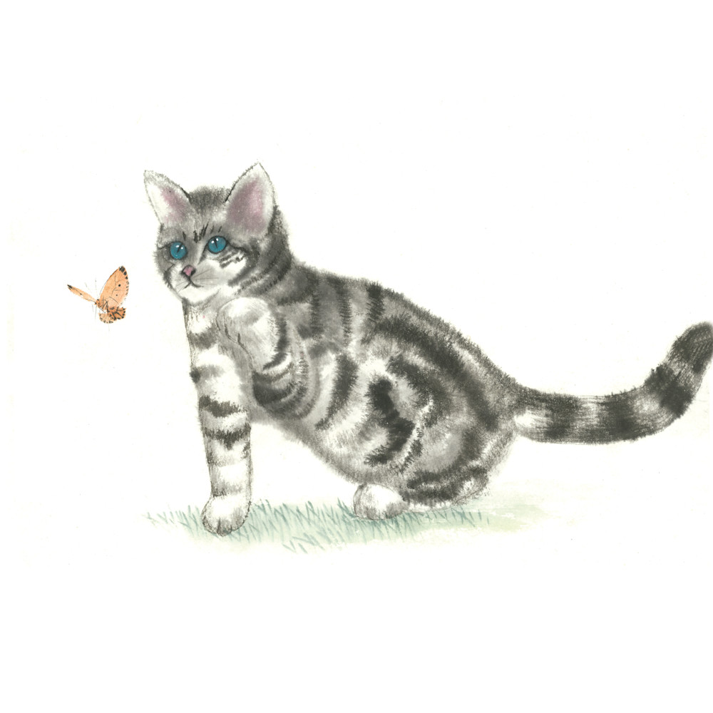 Kitten reduced for bags zm5b9z