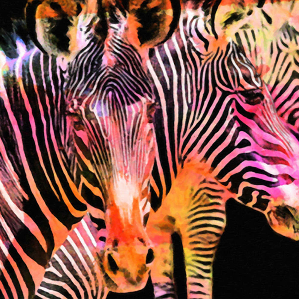 Zebra colorful 36x24 hspeck