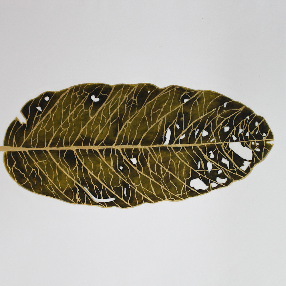 Fallen leaf ocyzqc