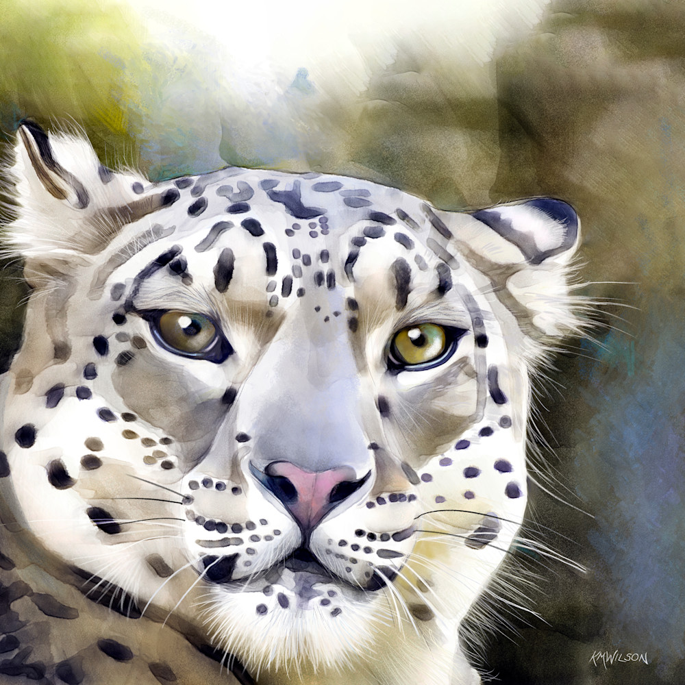 Athena the snow leopard print pqhwcm