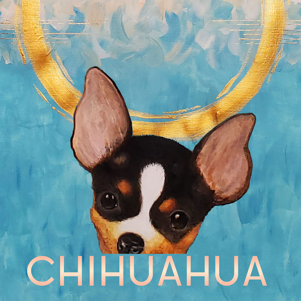 Chihuahua square f1asvc