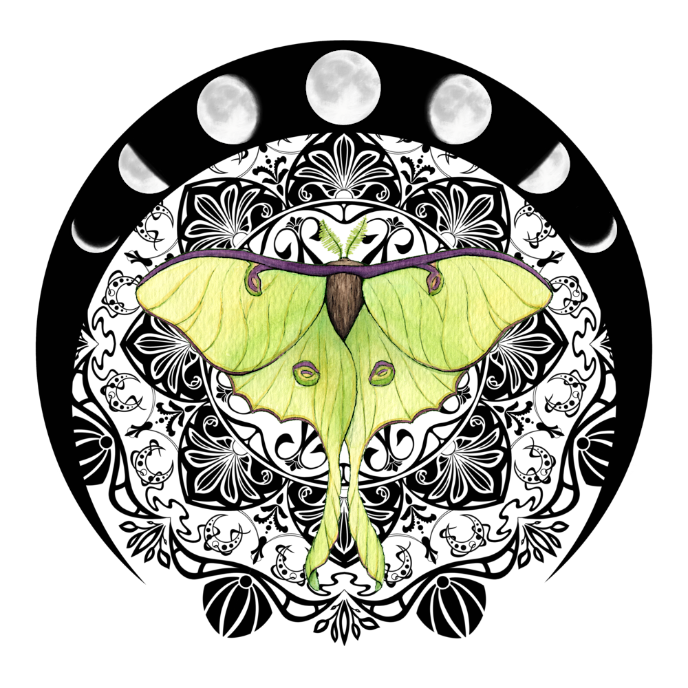 Luna moth mandala square mh27pn