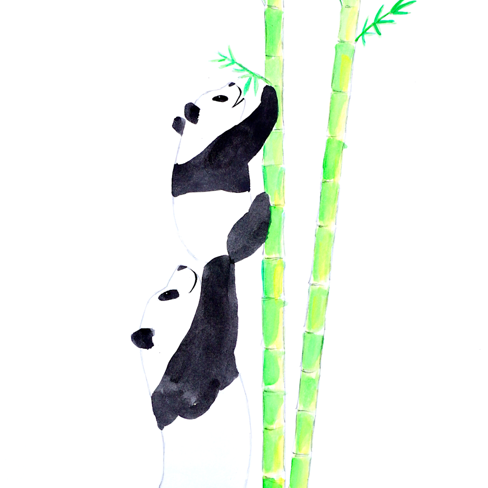 Panda wants bamboo vbcpnz