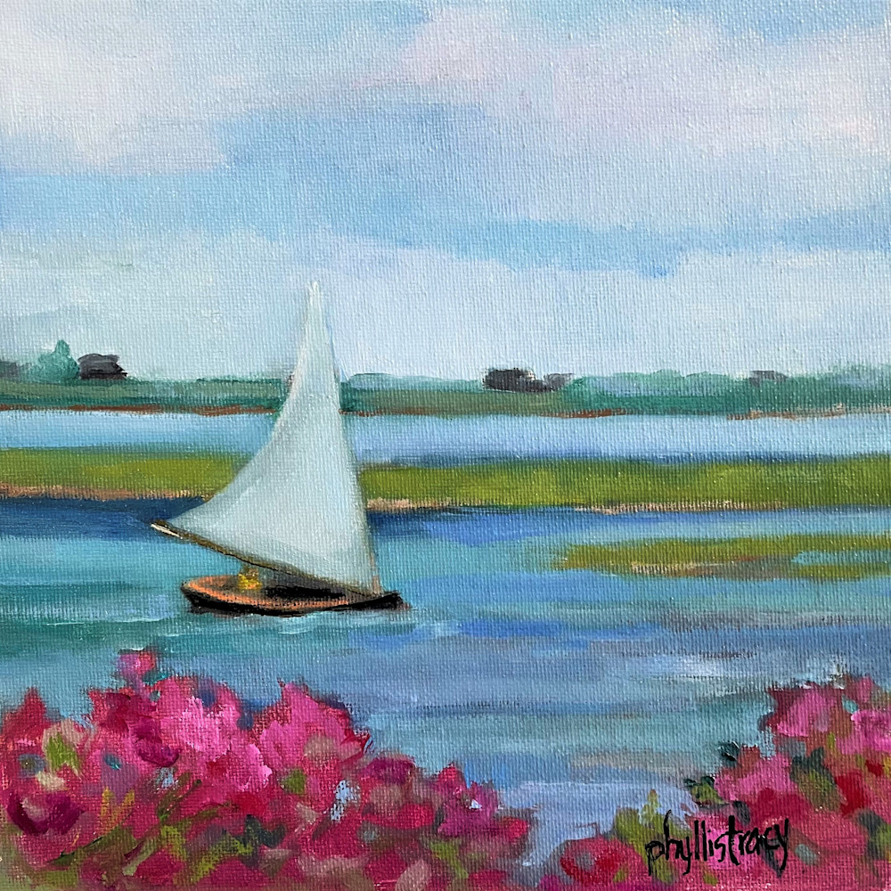 Sailing by the beach roses hif8uo