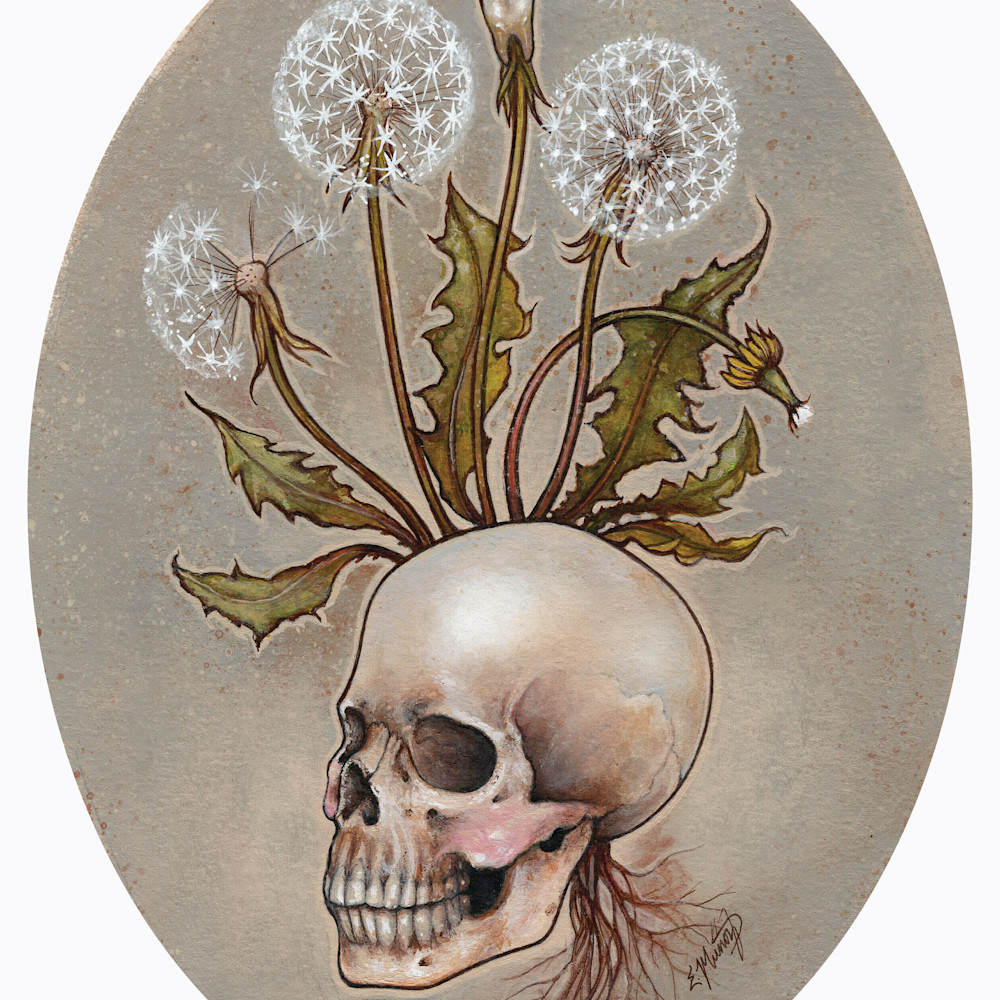 Skull with dandelions cqxhca