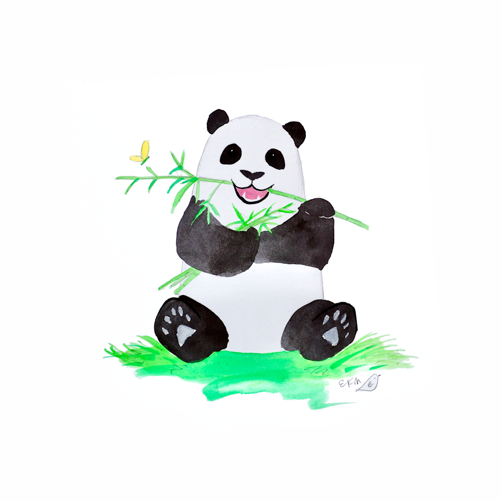 Panda chomps bamboo o8mz1d