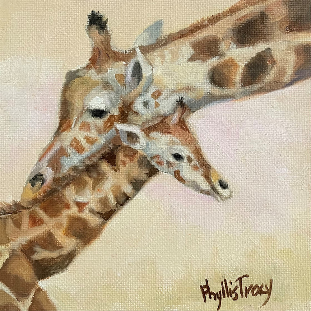 Mama and baby giraffe npgvpc