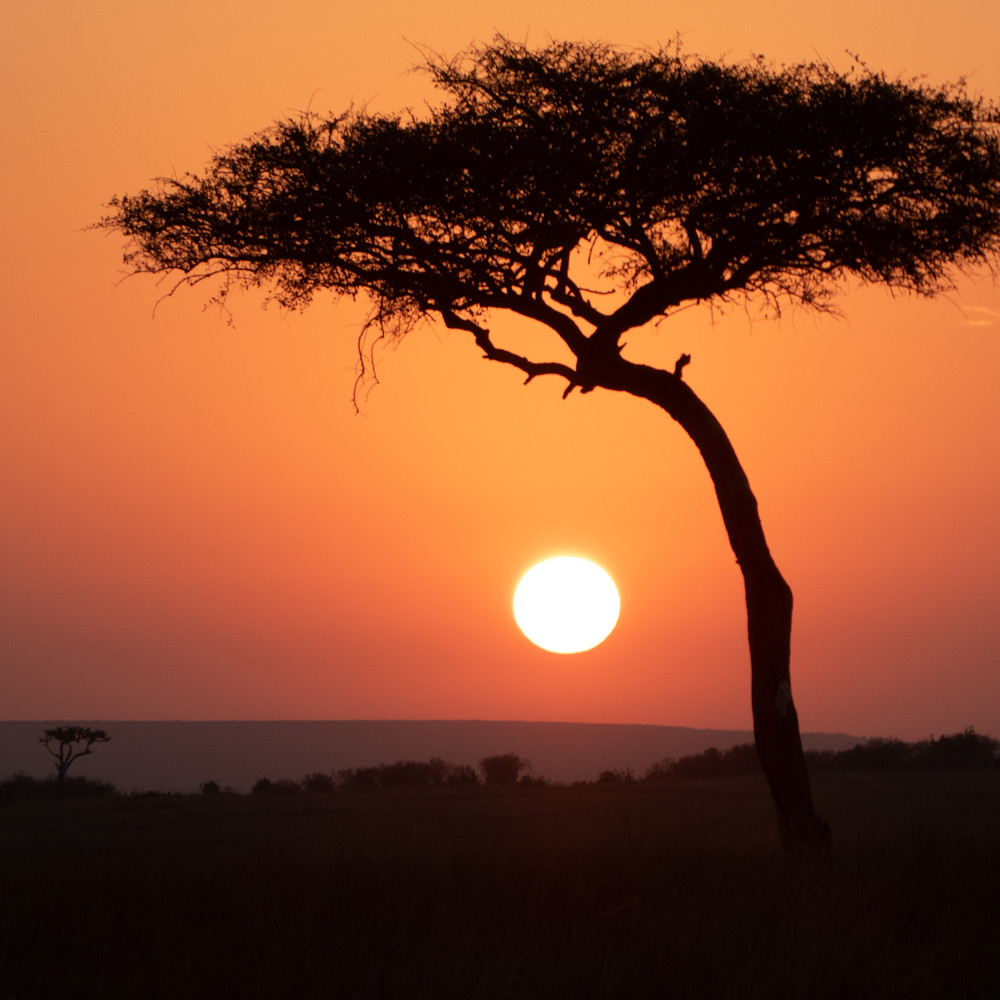 African sunrise g9uqew