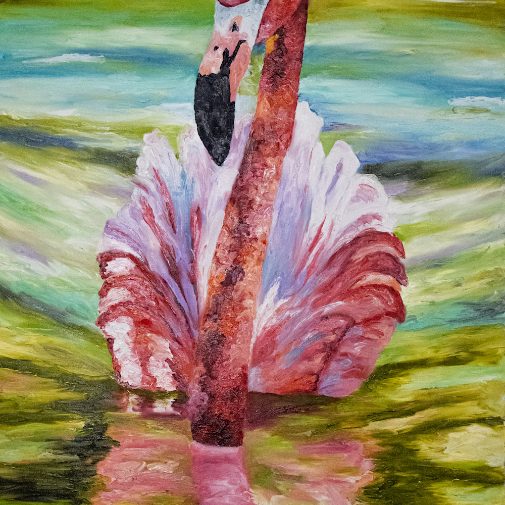 Img 6378 flamingo rkvlrr