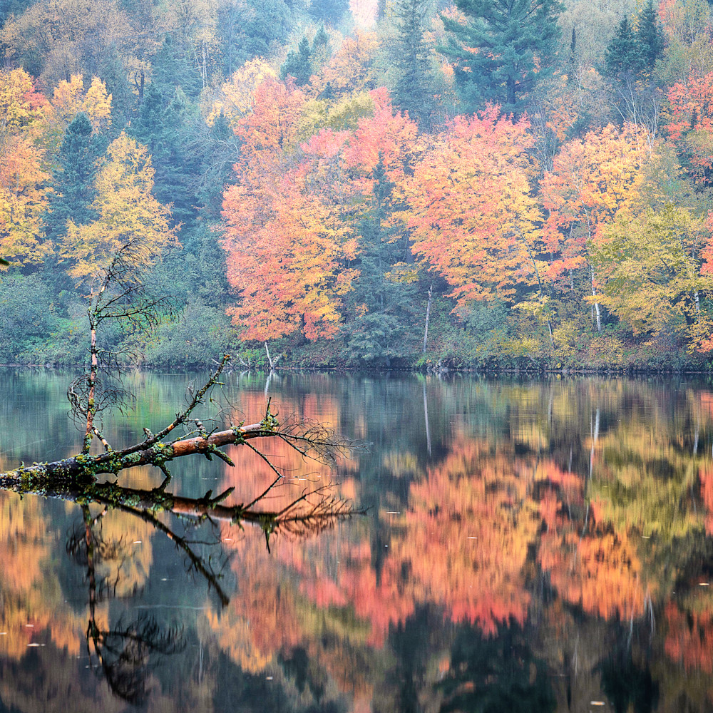 Autumn river reflections 2 gqelbn