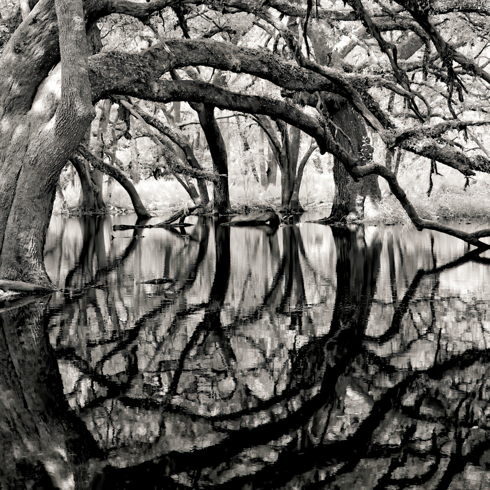 Oak garden arched mirror infrared horiz ltr wvqved