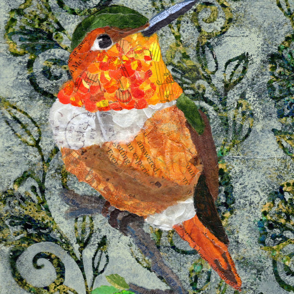 Mrallenshummingbird cover cpczwq