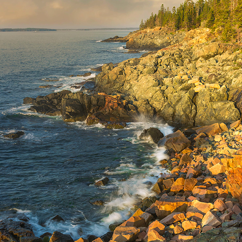 Maine rocky shore acadia national park uamuj9