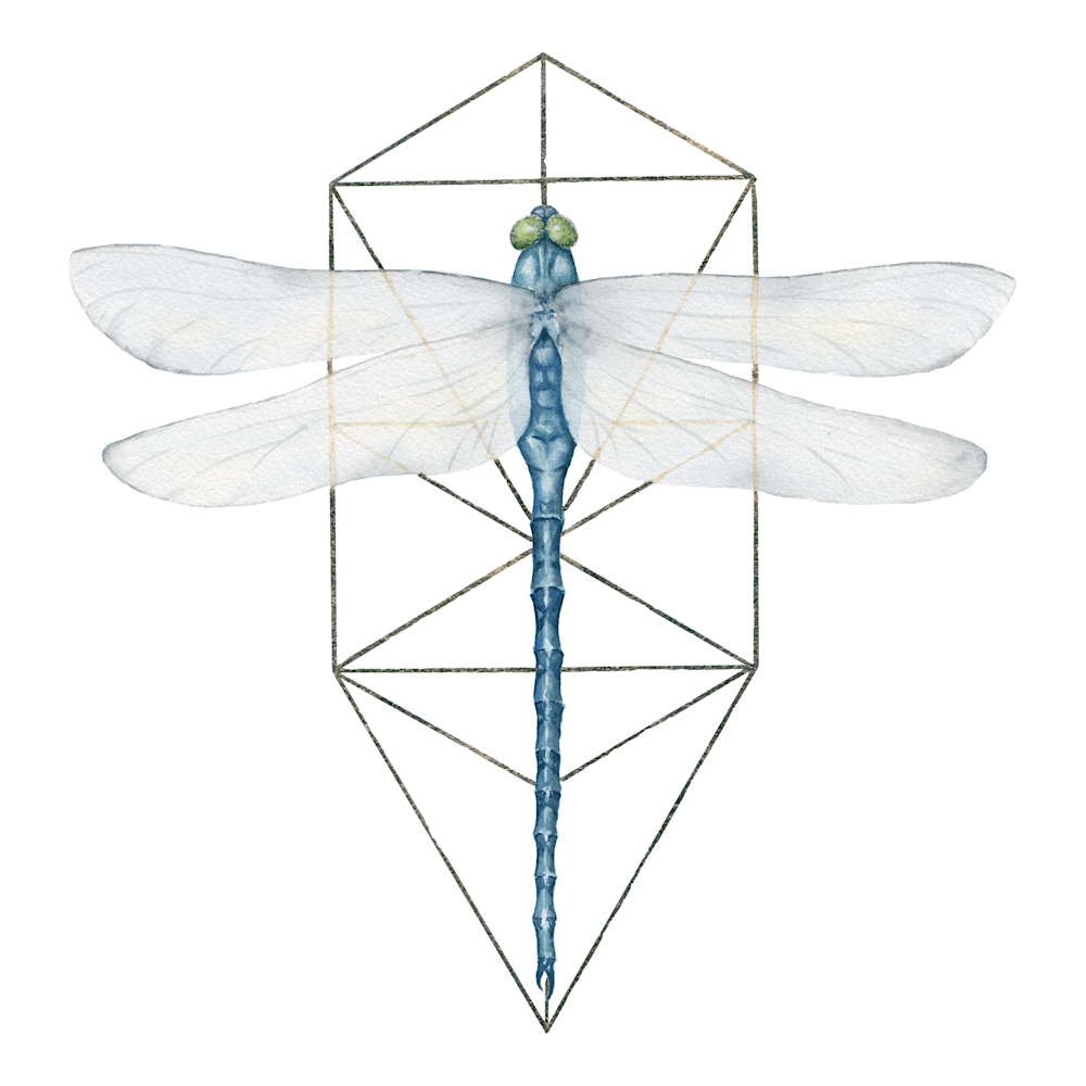 Tree of life dragonfly white bg omjfjt