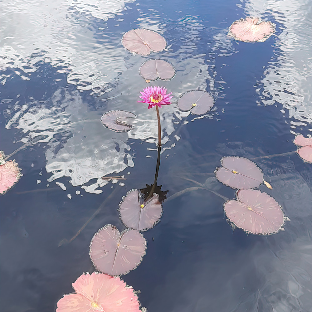 Water lily 4 gigapixel very compressed scale 4 00x egacai
