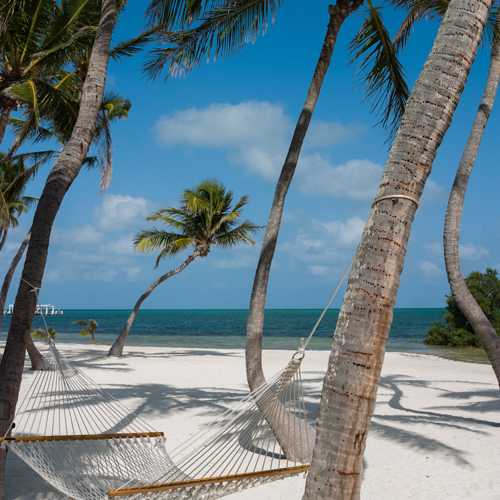 Sand sea palms hammock 6707 qwusuz