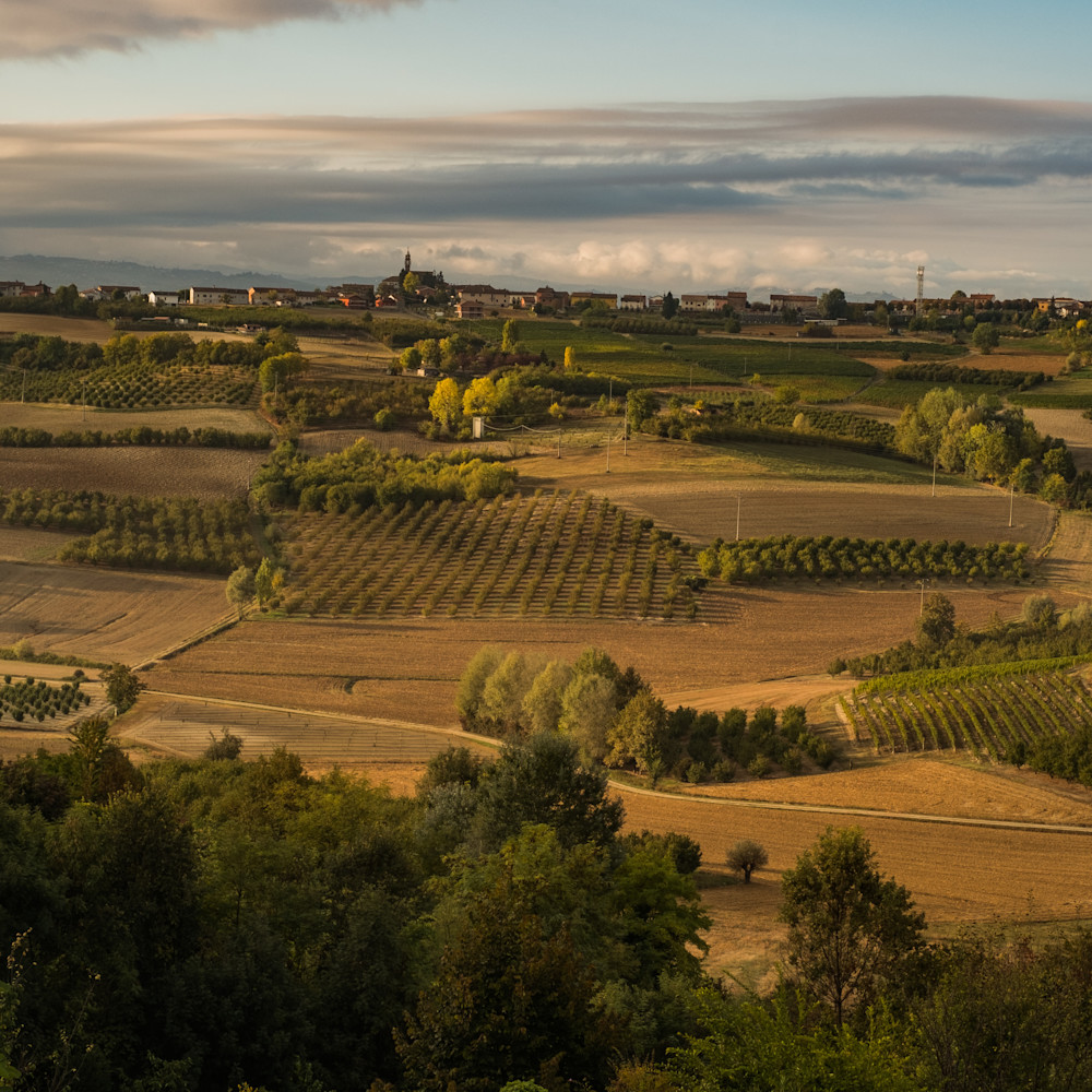 Aerial views vineyards piedmont 1873 zsp4jd