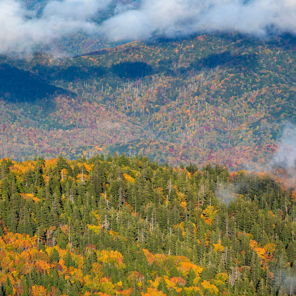 Andy crawford photography smoky mountains tapestry hqsxi8