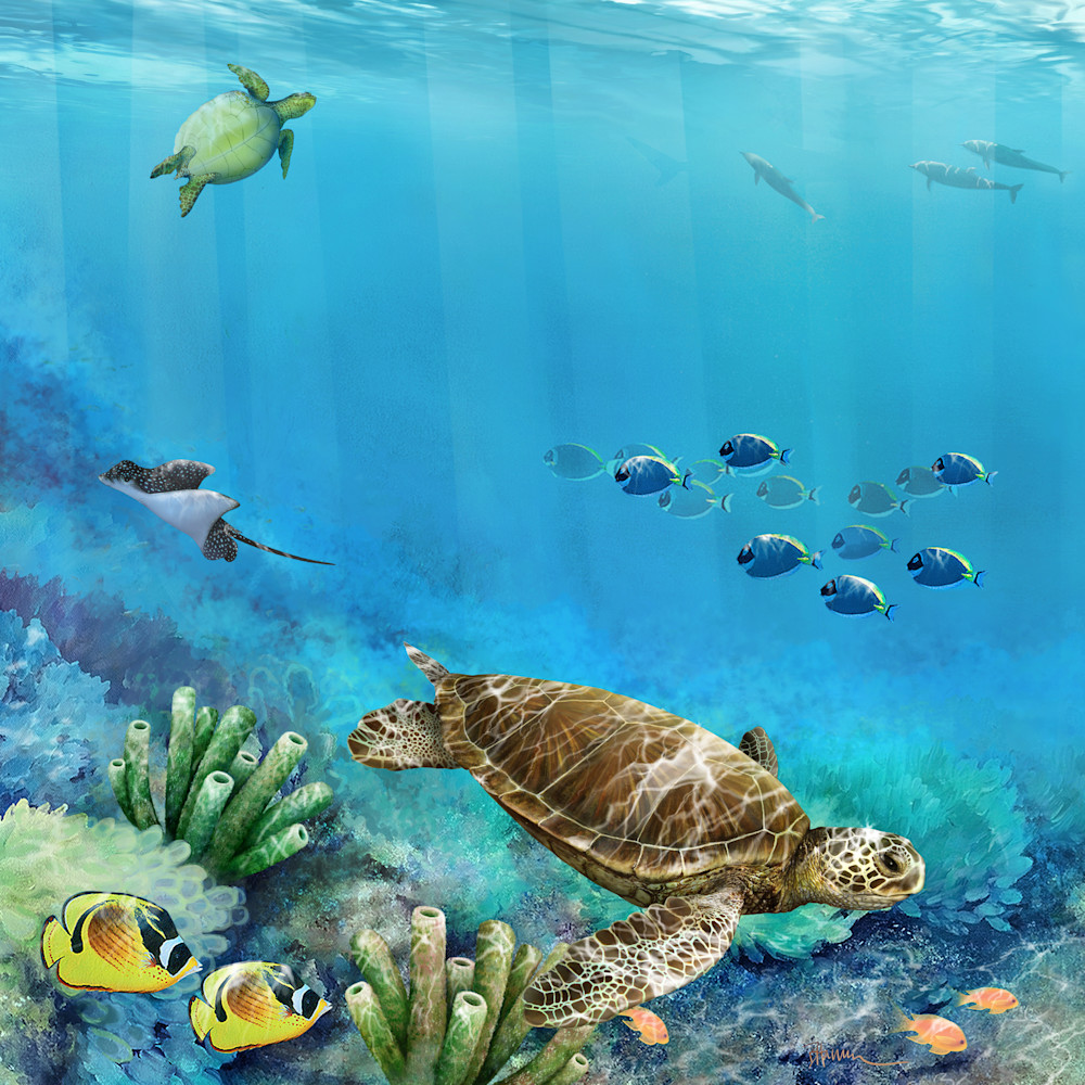 Coral reef turtle qwk3dk