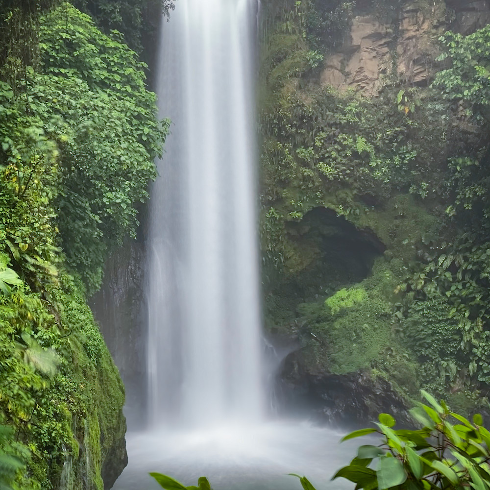 Rain forest waterfall gyzydy
