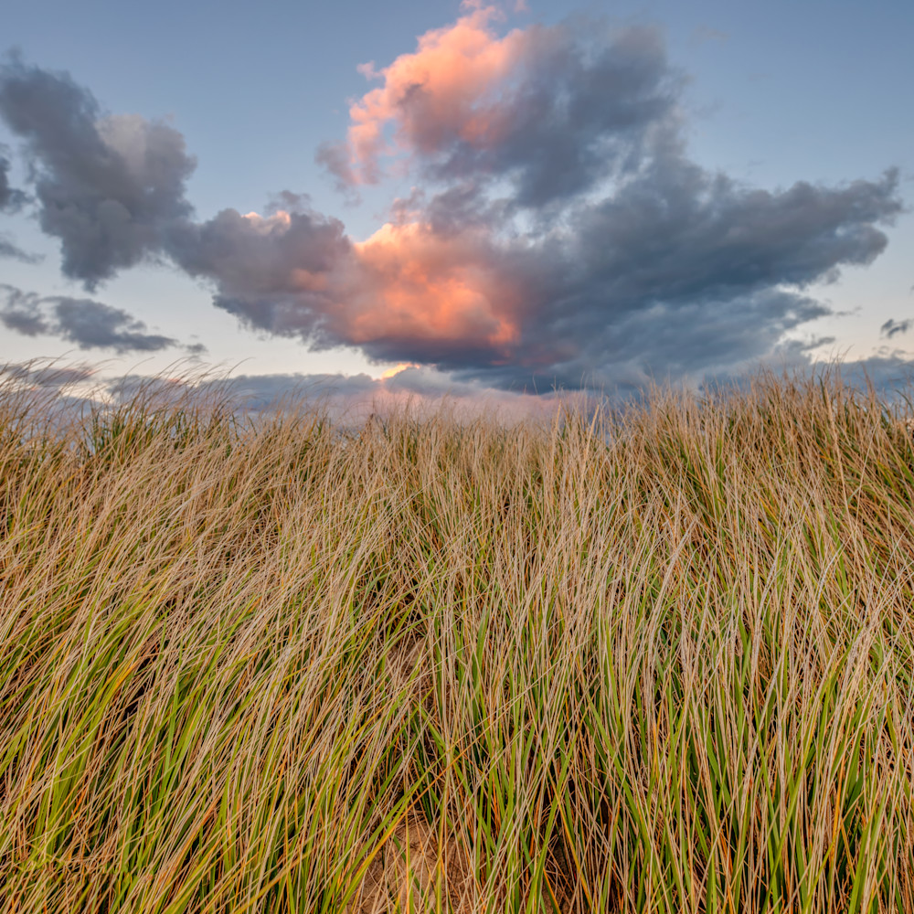 State beach grasses and clouds vo9nke