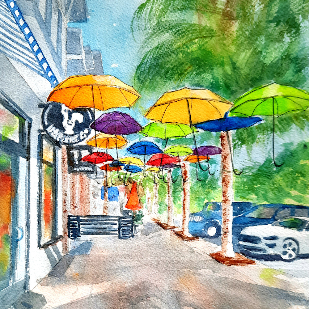 Dunedin umbrellas ywafna