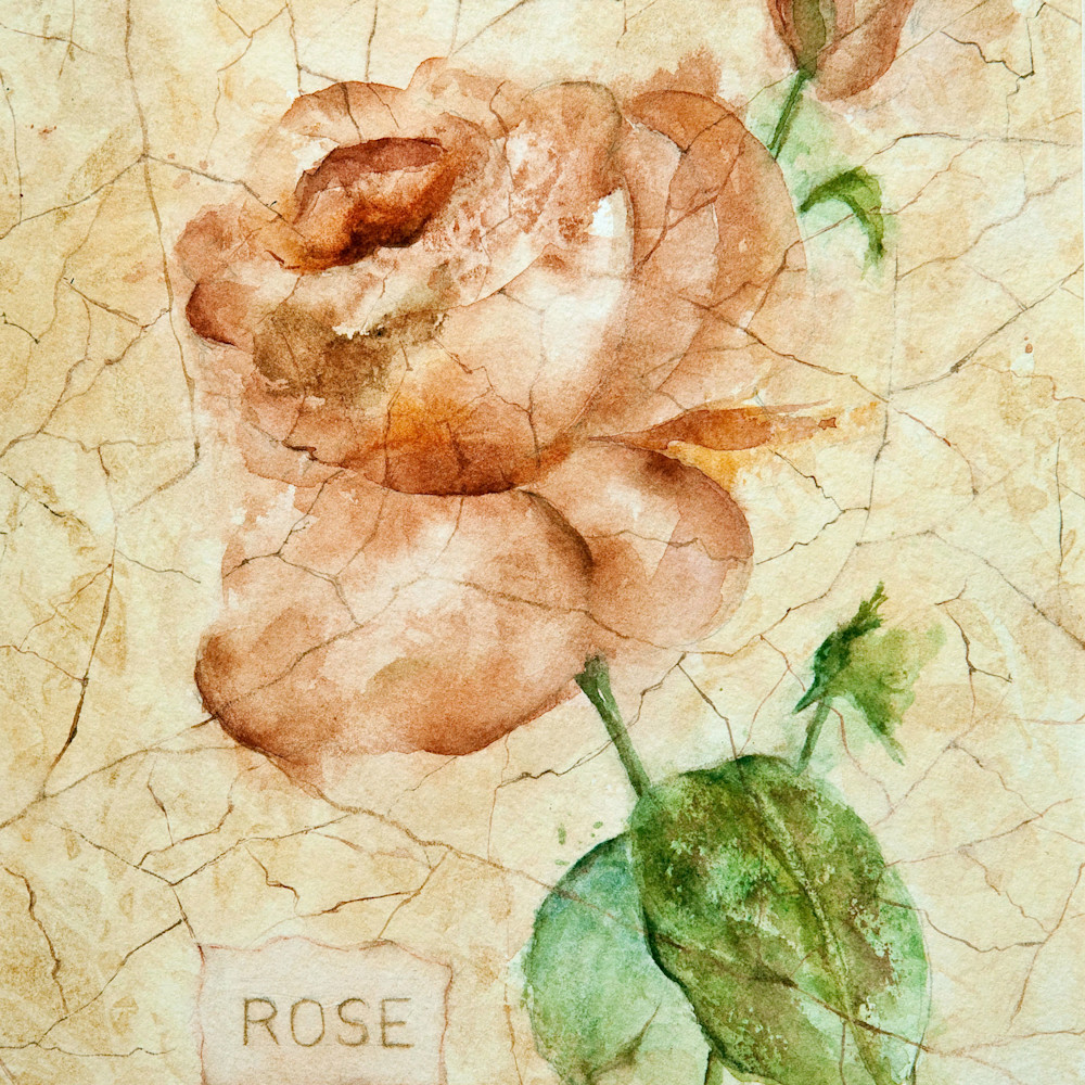 Antique rose goo4rt