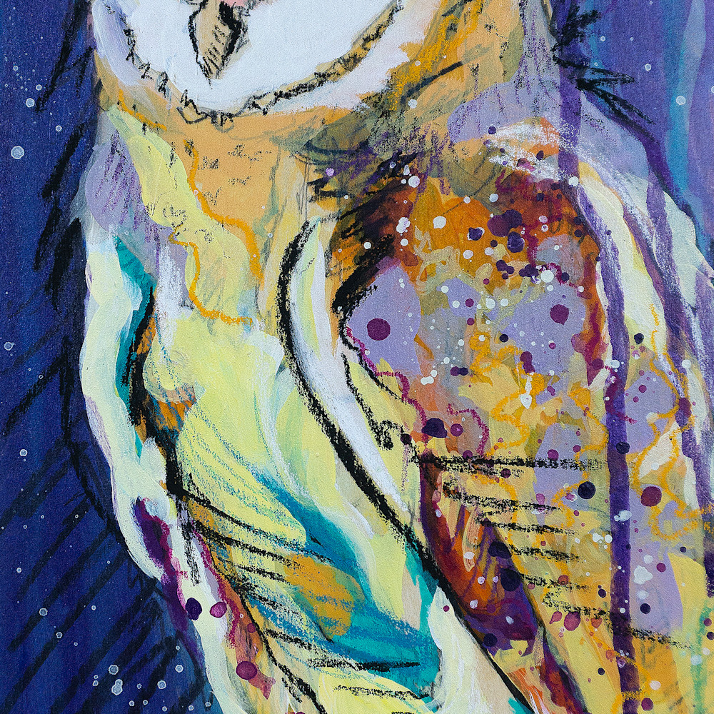 Starry barn owl final print fdzerg