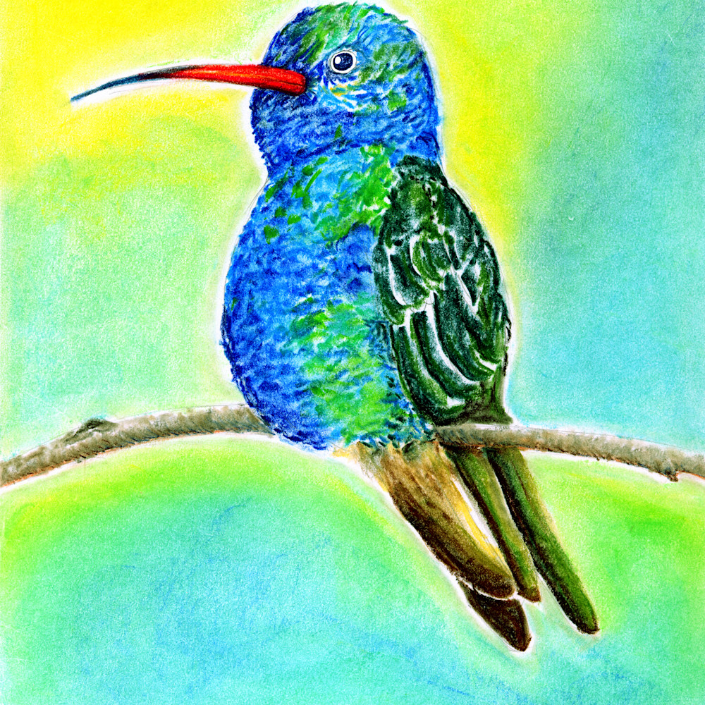 Hummingbird 600 ynizix
