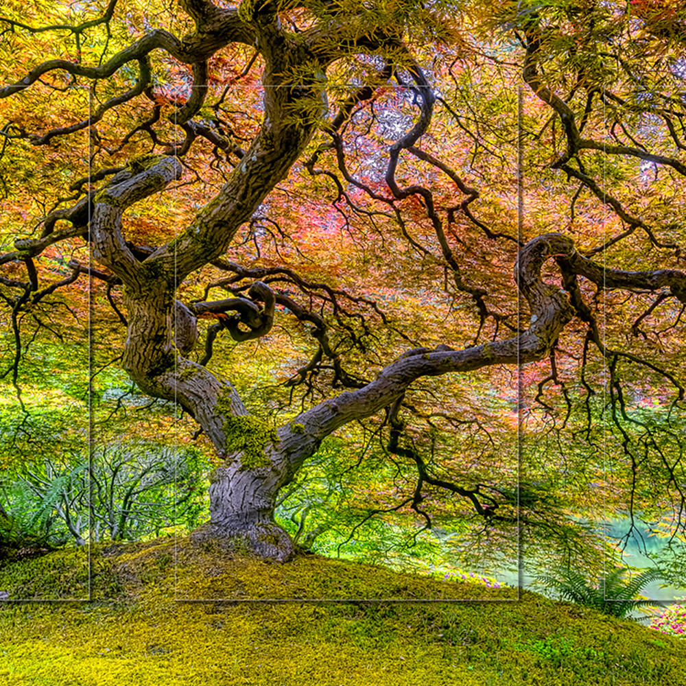 Tree of life h pano 9113 3pc 3d h92njc
