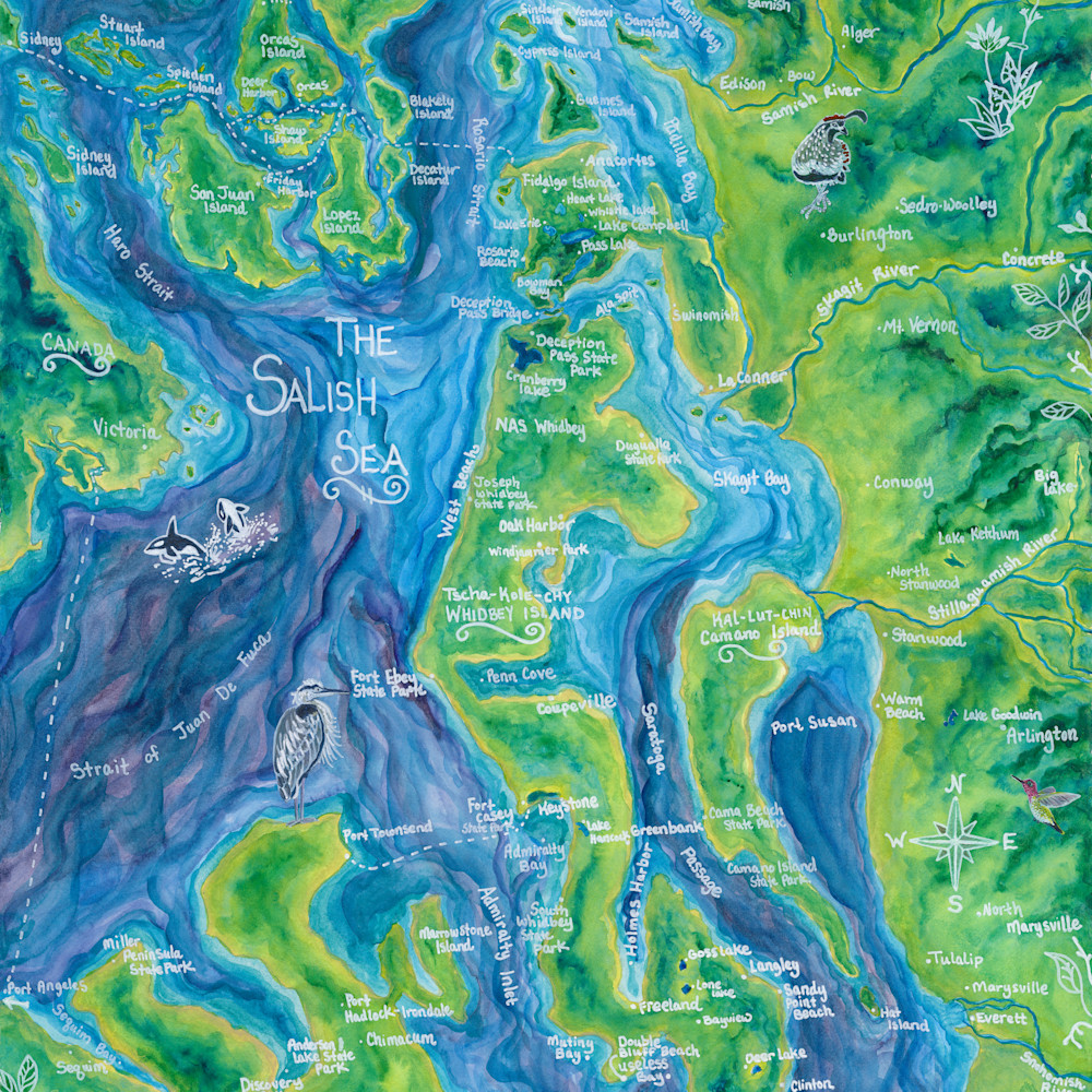 Salish sea map ry556t