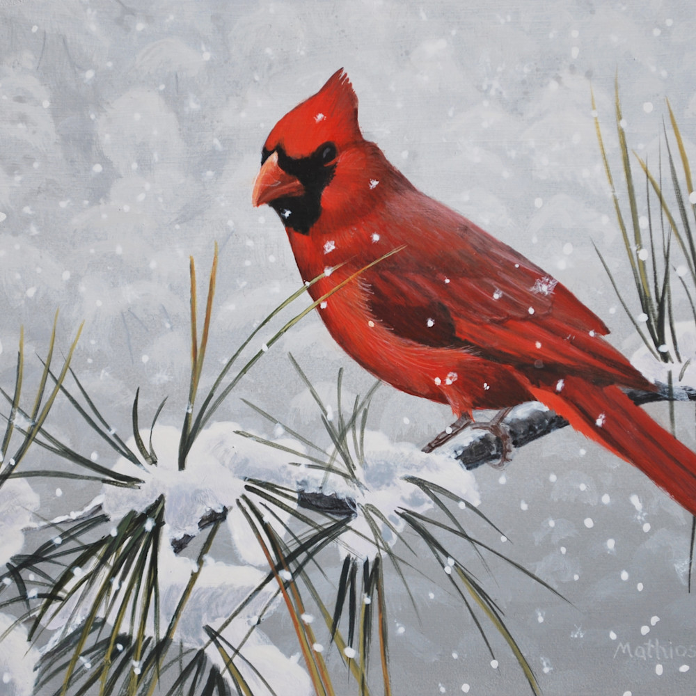 Cardinal in the snow 5x7 fxf1pk
