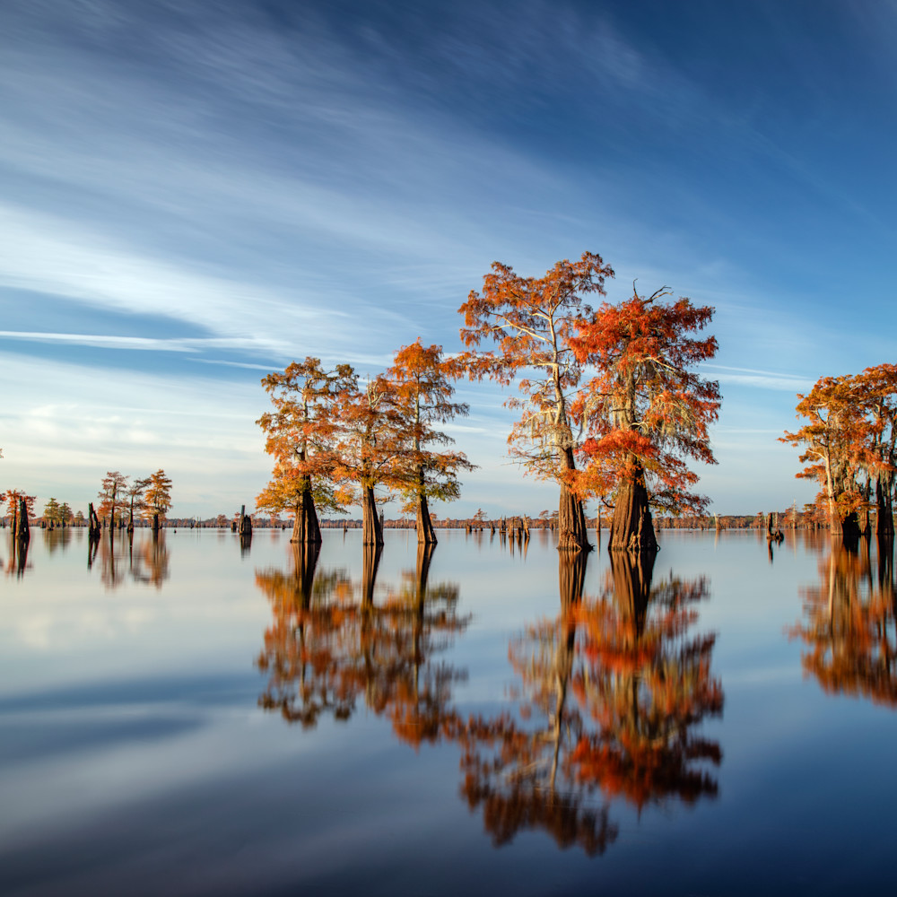 Andy crawford photography reflections of a louisiana autumn us8fe8